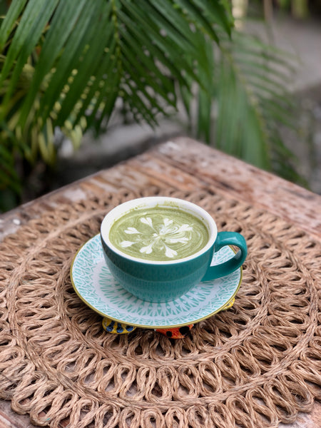 KK Matcha Latte HOT