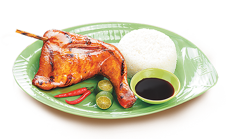 INASAL PM1 (PAA)