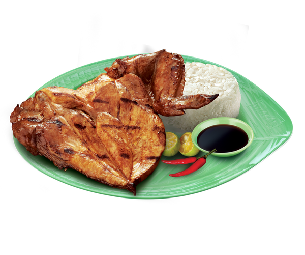 INASAL PM2 (PECHO)